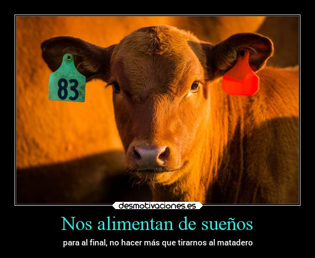 carteles muerte vida clanebola betoasekas theendiscoming desmotivaciones