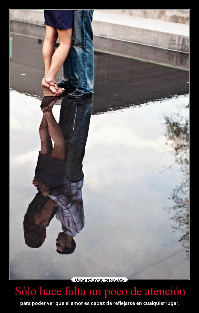 Sólo hace falta un poco de atención - para poder ver que el amor es capaz de reflejarse en cualquier lugar.
