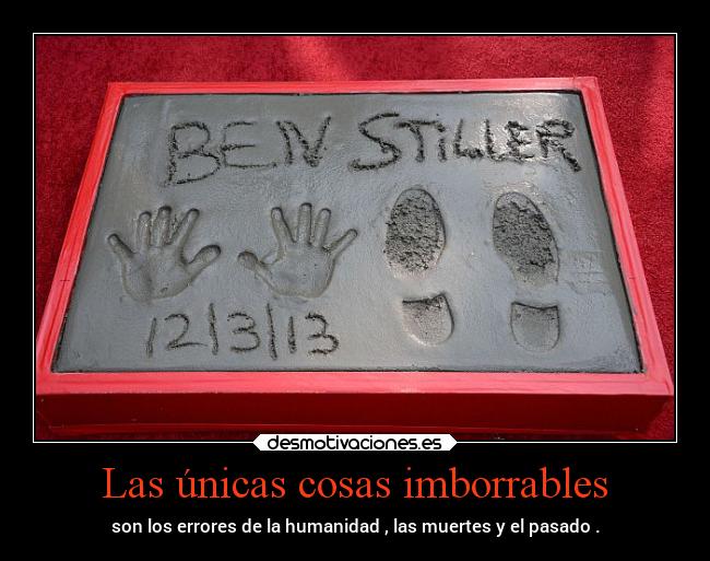 carteles mundo sentimientos tristeza vida imborrable dingoo manada32 desmotivaciones