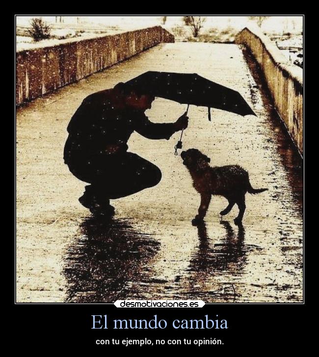 El mundo cambia - con tu ejemplo, no con tu opinión.