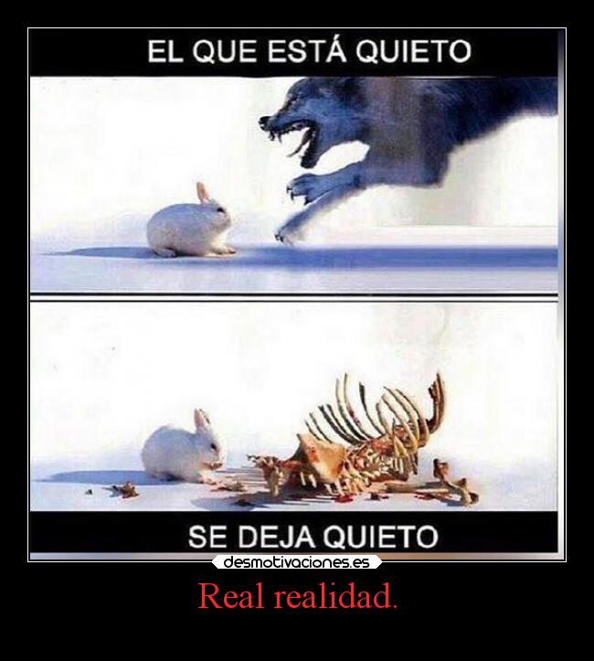 Real realidad. -