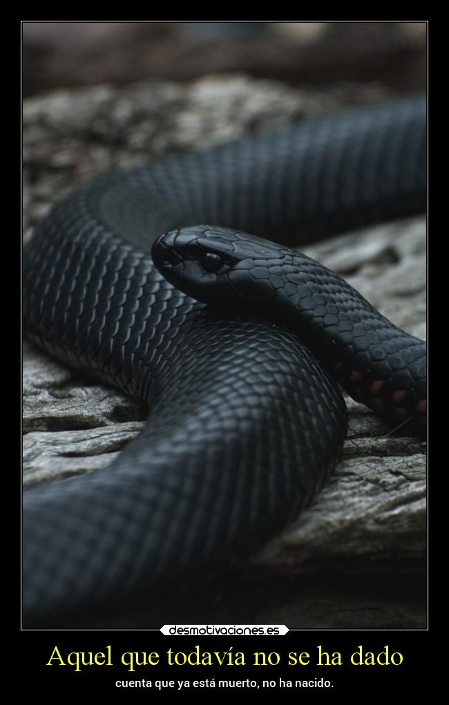 Aquel que todavía no se ha dado - cuenta que ya está muerto, no ha nacido.