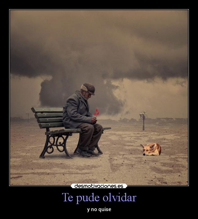 Te pude olvidar -