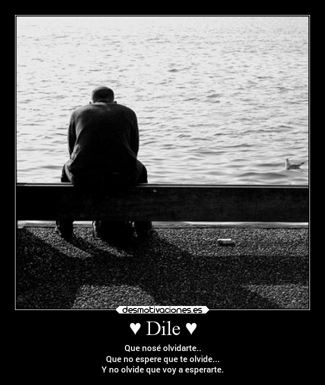♥ Dile ♥ - Que nosé olvidarte..
Que no espere que te olvide...
Y no olvide que voy a esperarte.