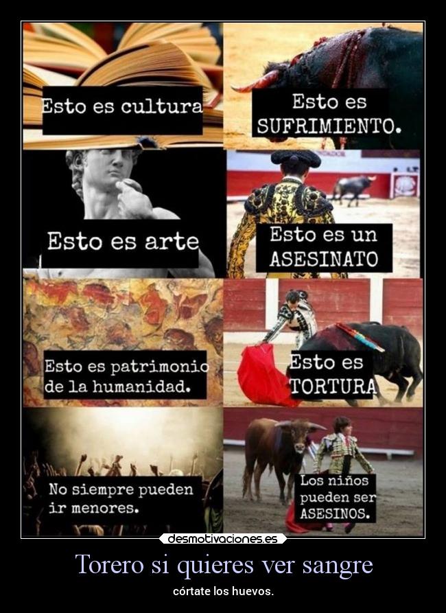 Torero si quieres ver sangre -