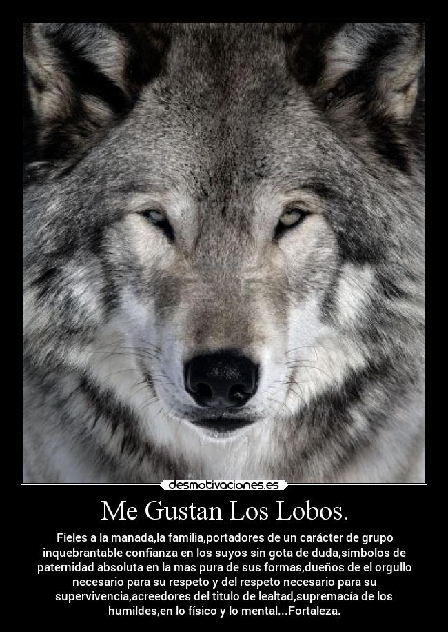Me Gustan Los Lobos. -