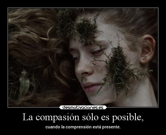 La compasión sólo es posible, - cuando la comprensión está presente.