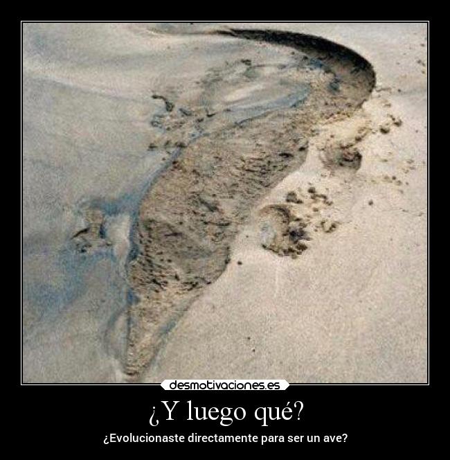 ¿Y luego qué? - ¿Evolucionaste directamente para ser un ave?