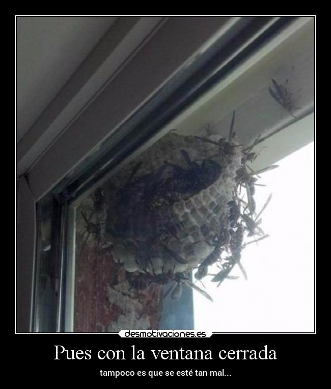 Pues con la ventana cerrada - tampoco es que se esté tan mal...