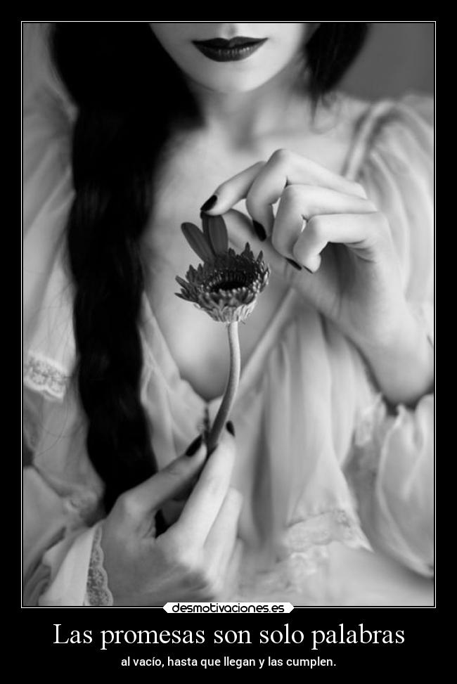 carteles promesas promesas vida palabras soyunidiotatm projectd rbk panda desmotivaciones