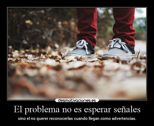 carteles sentimientos motivaciones cawids nono estupidarazon senales advertencias esperar problema reconocer desmotivaciones