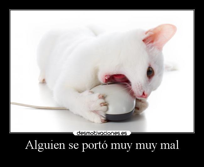 carteles sexo humor slipkdemon clandesplazado walt waltk mouser castigo desmotivaciones