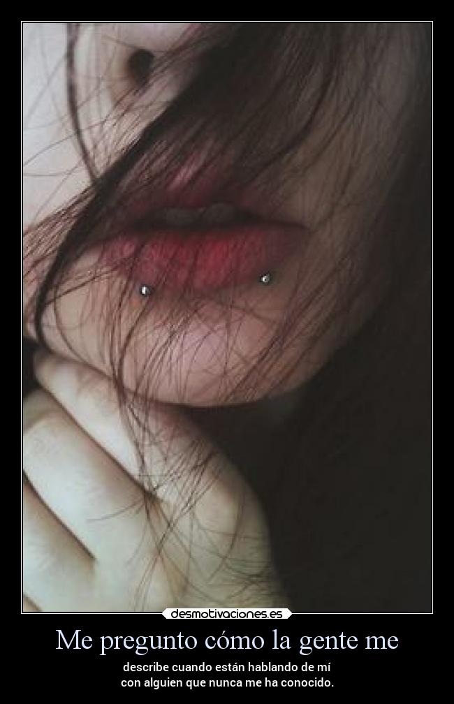 carteles silencio odio holasoyeldiablo perfecterror devilbrigade callatezorra cartelmuyusado usado frase desmotivaciones