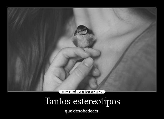 Tantos estereotipos - que desobedecer.