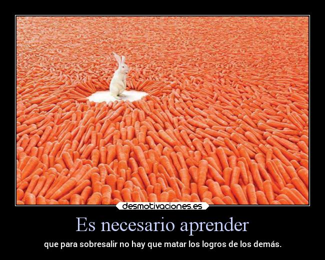 carteles sociedad problemas criticas vida obstaculos celos madurar desmotivaciones