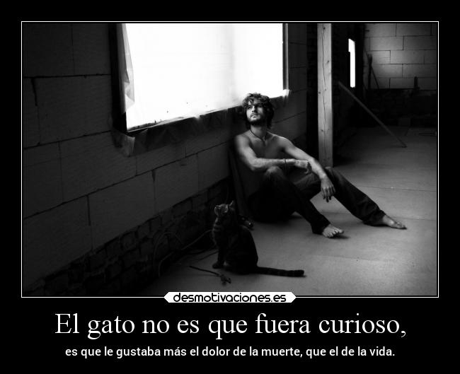 El gato no es que fuera curioso, - es que le gustaba más el dolor de la muerte, que el de la vida.