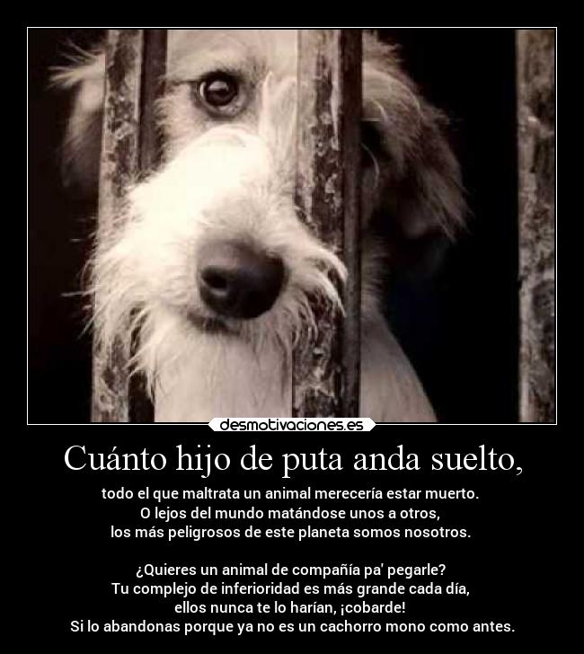 Cuánto hijo de puta anda suelto, -