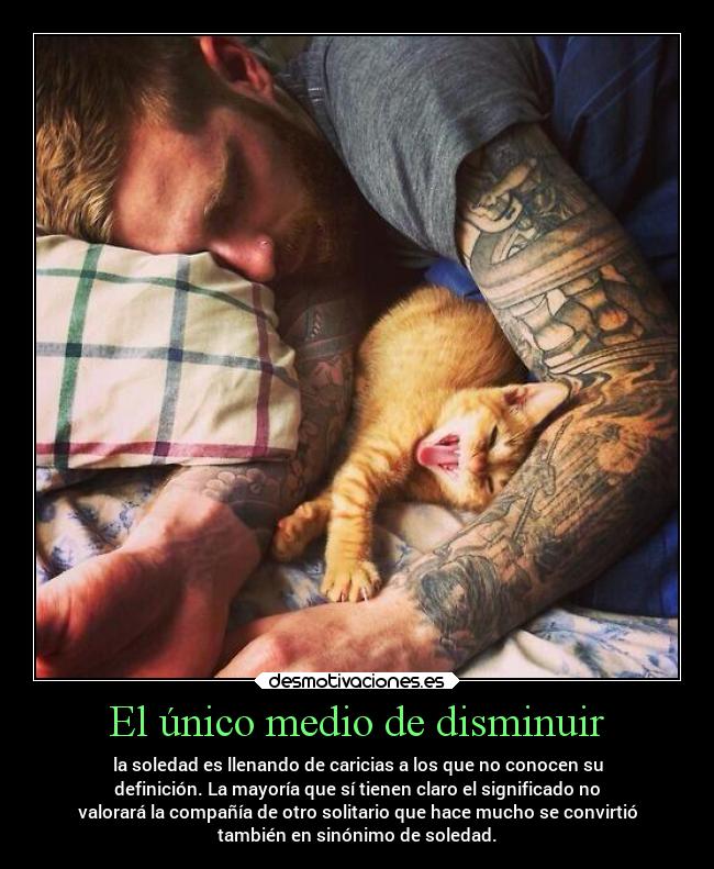 El único medio de disminuir - la soledad es llenando de caricias a los que no conocen su
definición. La mayoría que sí tienen claro el significado no
valorará la compañía de otro solitario que hace mucho se convirtió
también en sinónimo de soledad.