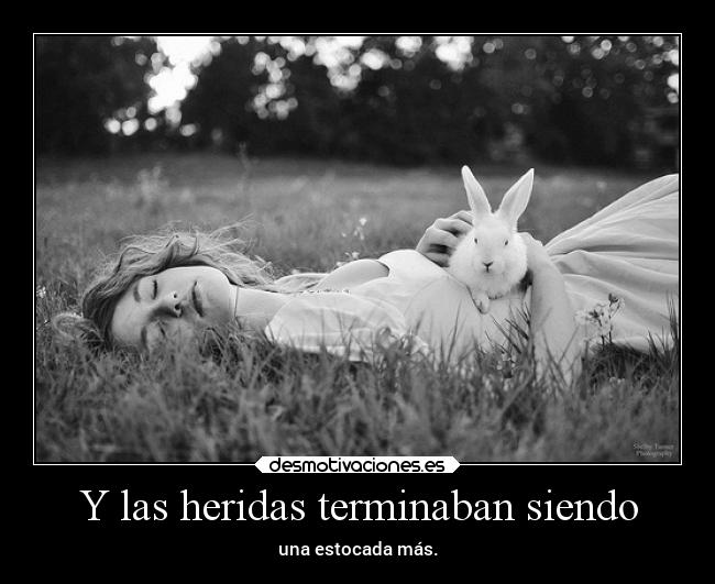 carteles soledad wisteria herida desmotivaciones