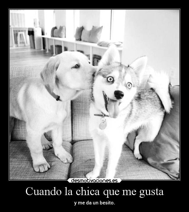 carteles sonrisa graciosas desmotivaciones