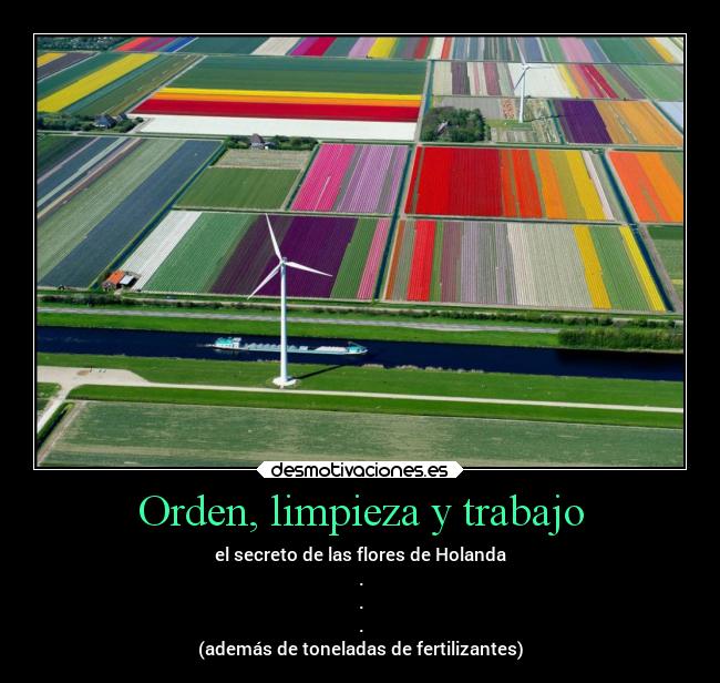 Orden, limpieza y trabajo - el secreto de las flores de Holanda
.
.
.
(además de toneladas de fertilizantes)