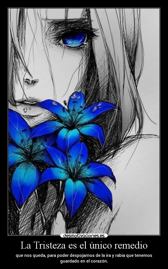 La Tristeza es el único remedio - 