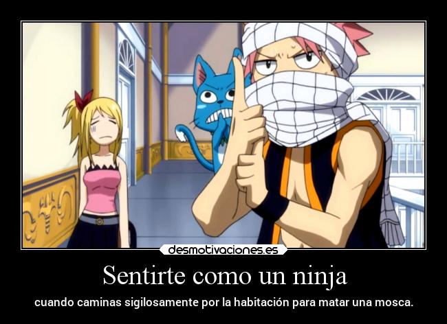 carteles verano humor anime raptorhunters harukaze manga fairytail fairy tail natsu lucy happy ninja moscas desmotivaciones