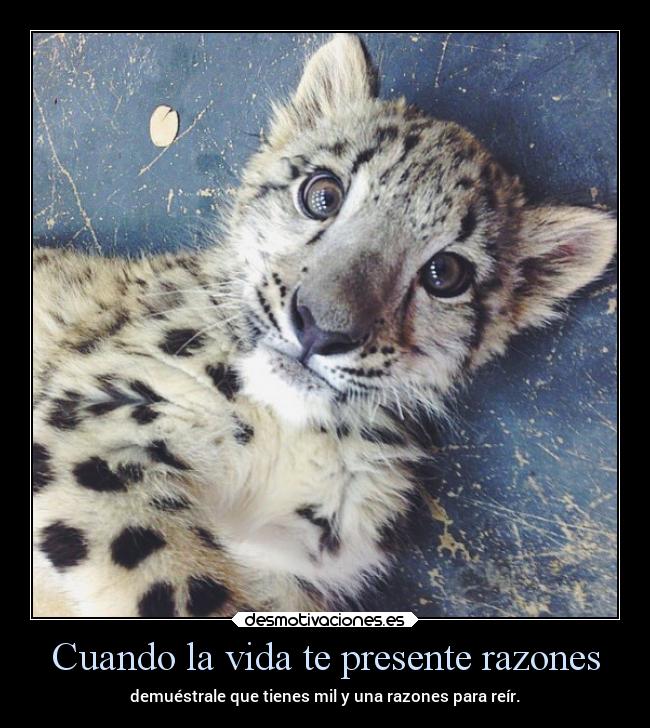 Cuando la vida te presente razones -