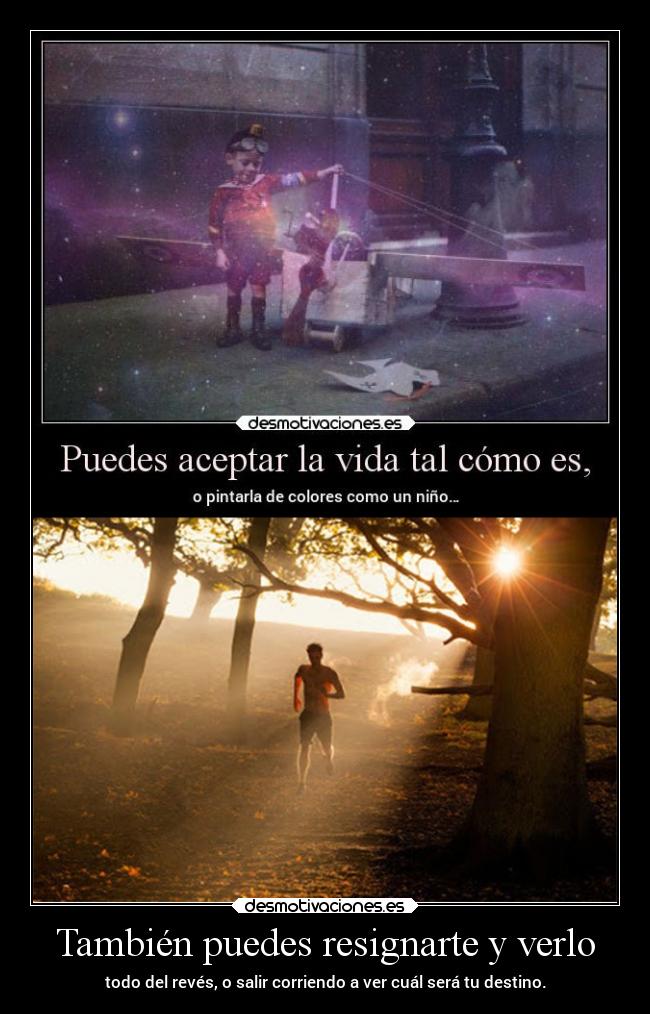 También puedes resignarte y verlo -