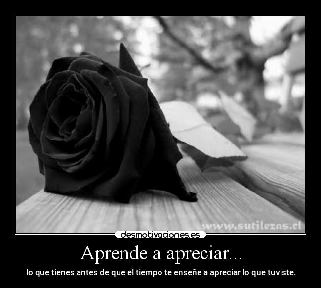 carteles vida apreciar rosa negra tienpo tener desmotivaciones