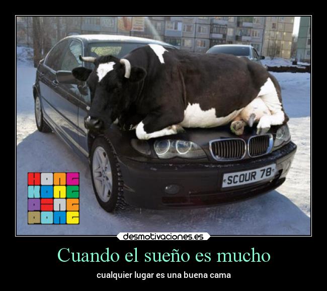 carteles vida camas betoasekas clanebola theendiscoming desmotivaciones