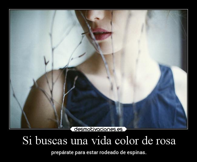 Si buscas una vida color de rosa - prepárate para estar rodeado de espinas.