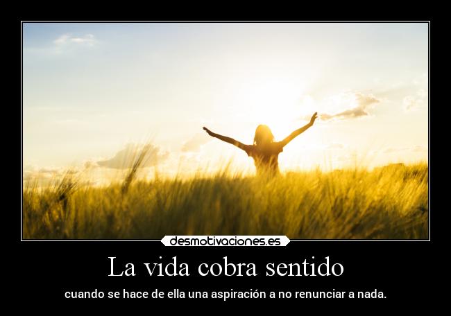 La vida cobra sentido -