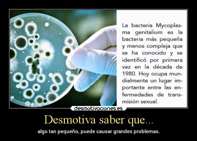 Desmotiva saber que... -