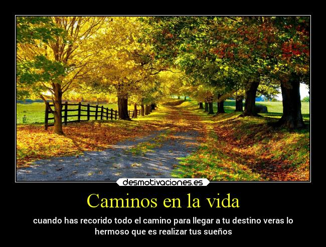 Caminos en la vida - 