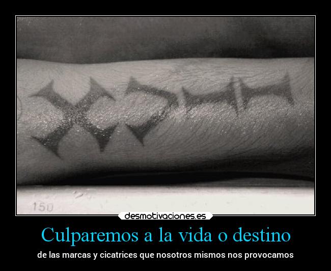 Culparemos a la vida o destino -