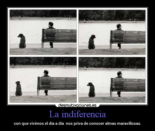 La indiferencia - con que vivimos el día a día nos priva de conocer almas maravillosas.