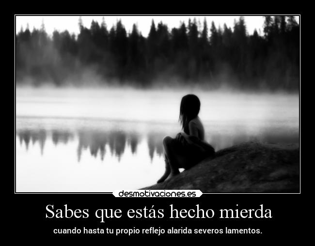 Sabes que estás hecho mierda - 