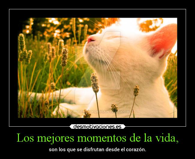Los mejores momentos de la vida, - 