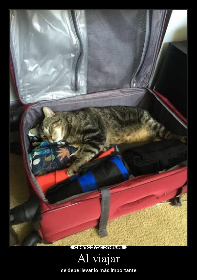 Al viajar -