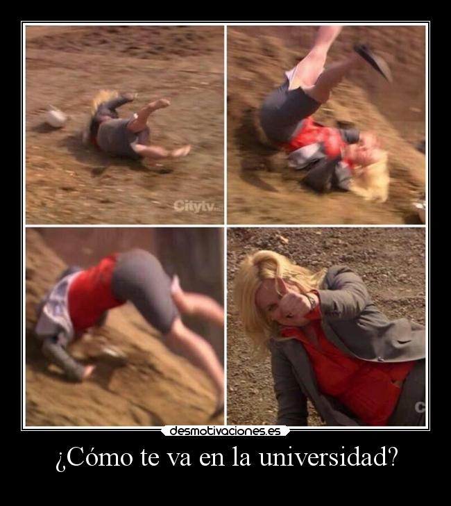 ¿Cómo te va en la universidad? - 