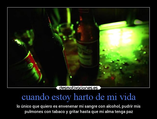 cuando estoy harto de mi vida - lo único que quiero es envenenar mi sangre con alcohol, pudrir mis
pulmones con tabaco y gritar hasta que mi alma tenga paz