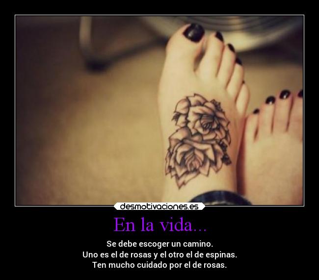 carteles vida vida motivaciones camino espinas rosas cuidado desmotivaciones
