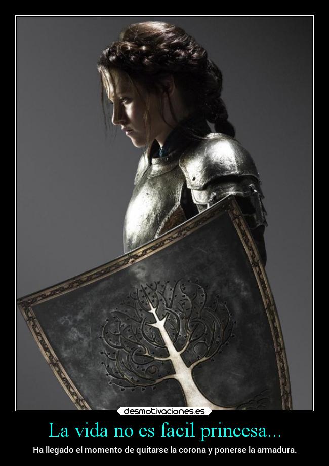 carteles vida vida mujer corona armadura princesa facil desmotivaciones