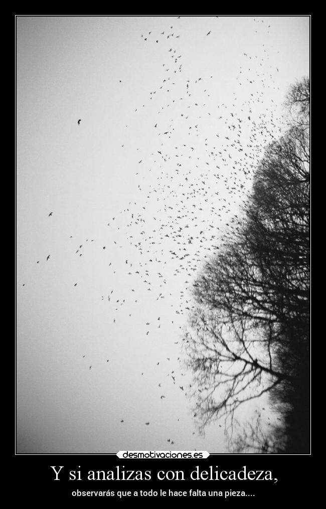 Y si analizas con delicadeza, -