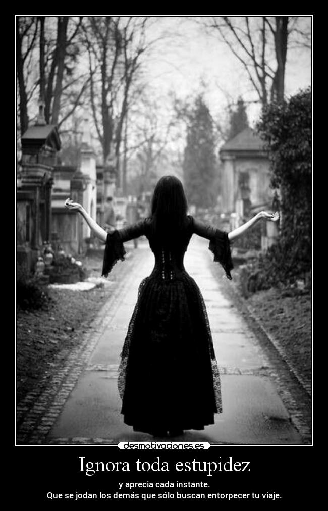 Ignora toda estupidez -