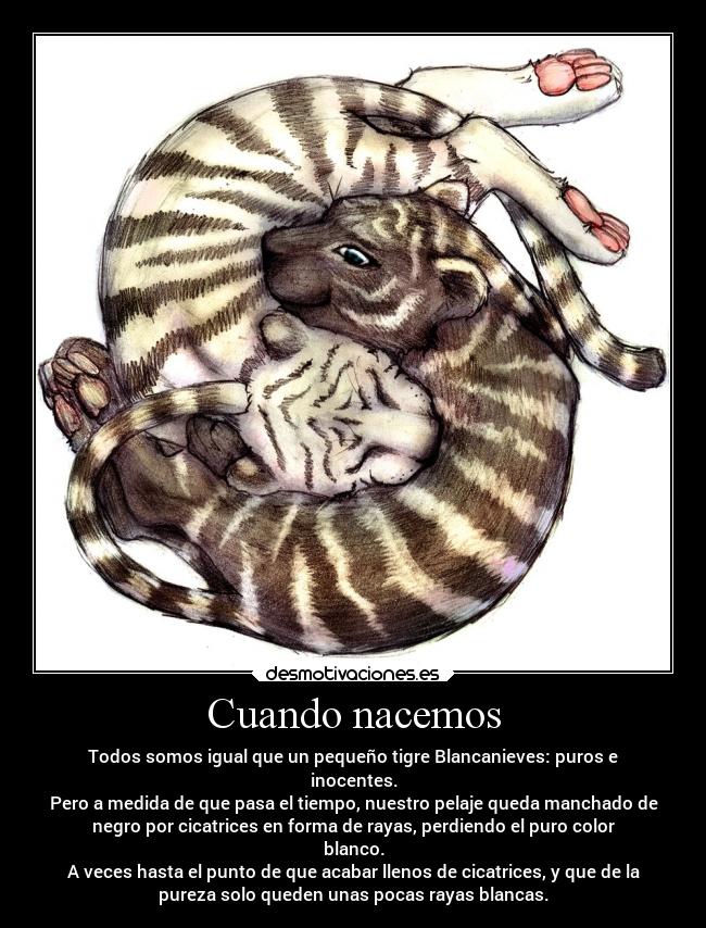 Cuando nacemos - Todos somos igual que un pequeño tigre Blancanieves: puros e
inocentes.
Pero a medida de que pasa el tiempo, nuestro pelaje queda manchado de
negro por cicatrices en forma de rayas, perdiendo el puro color
blanco.
A veces hasta el punto de que acabar llenos de cicatrices, y que de la
pureza solo queden unas pocas rayas blancas.