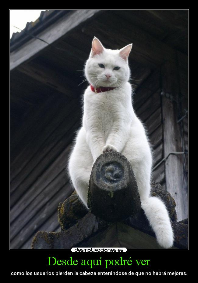 Desde aquí podré ver -