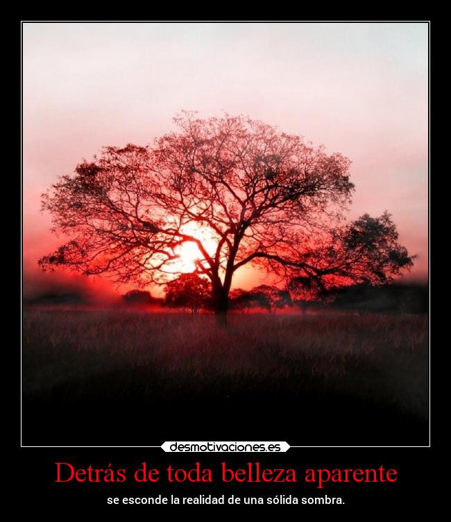 Detrás de toda belleza aparente - 