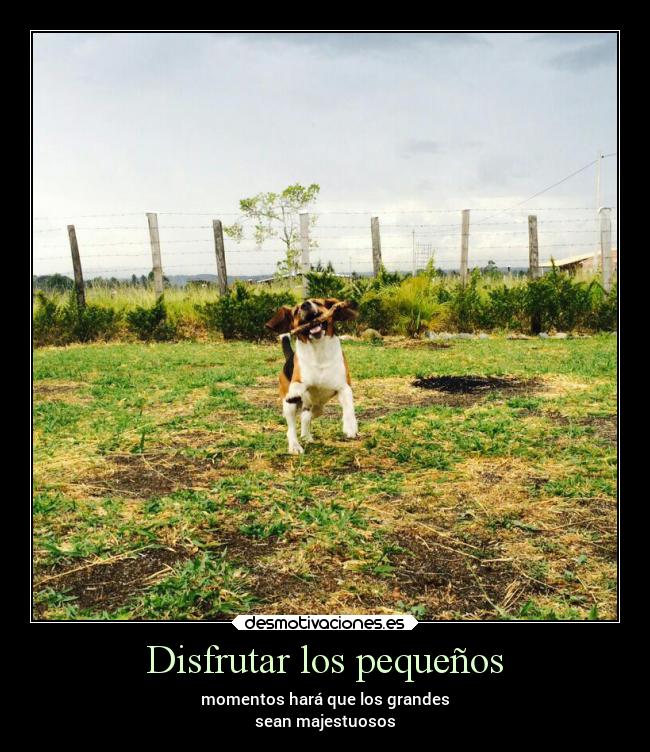 Disfrutar los pequeños - momentos hará que los grandes
sean majestuosos